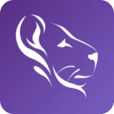 loyaltylion detail logo