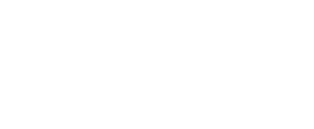 ematic new logo footer