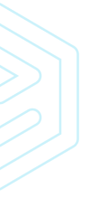 CRO_left_vector